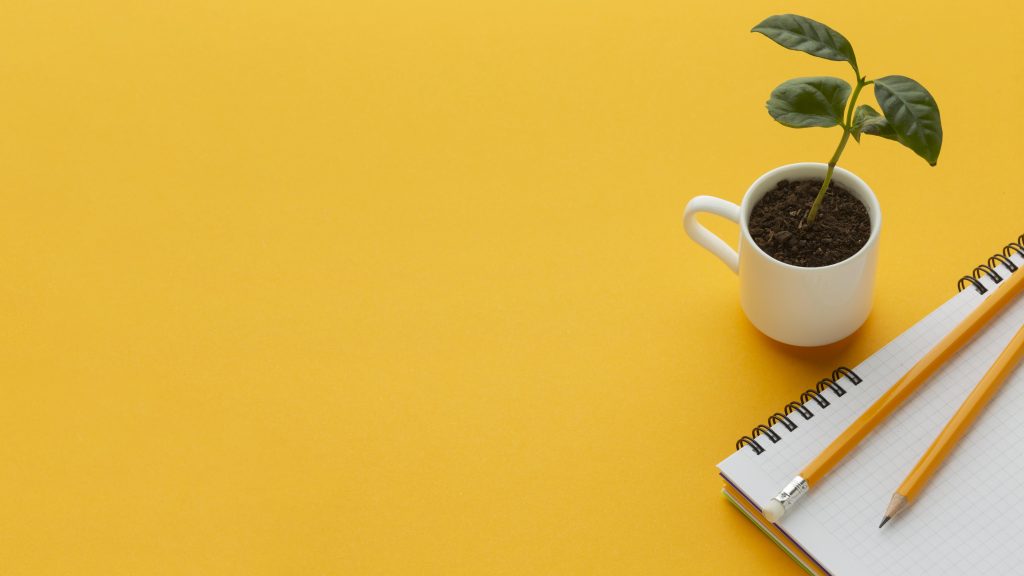 Why 80% of SaaS MVPs Fail Before Launch