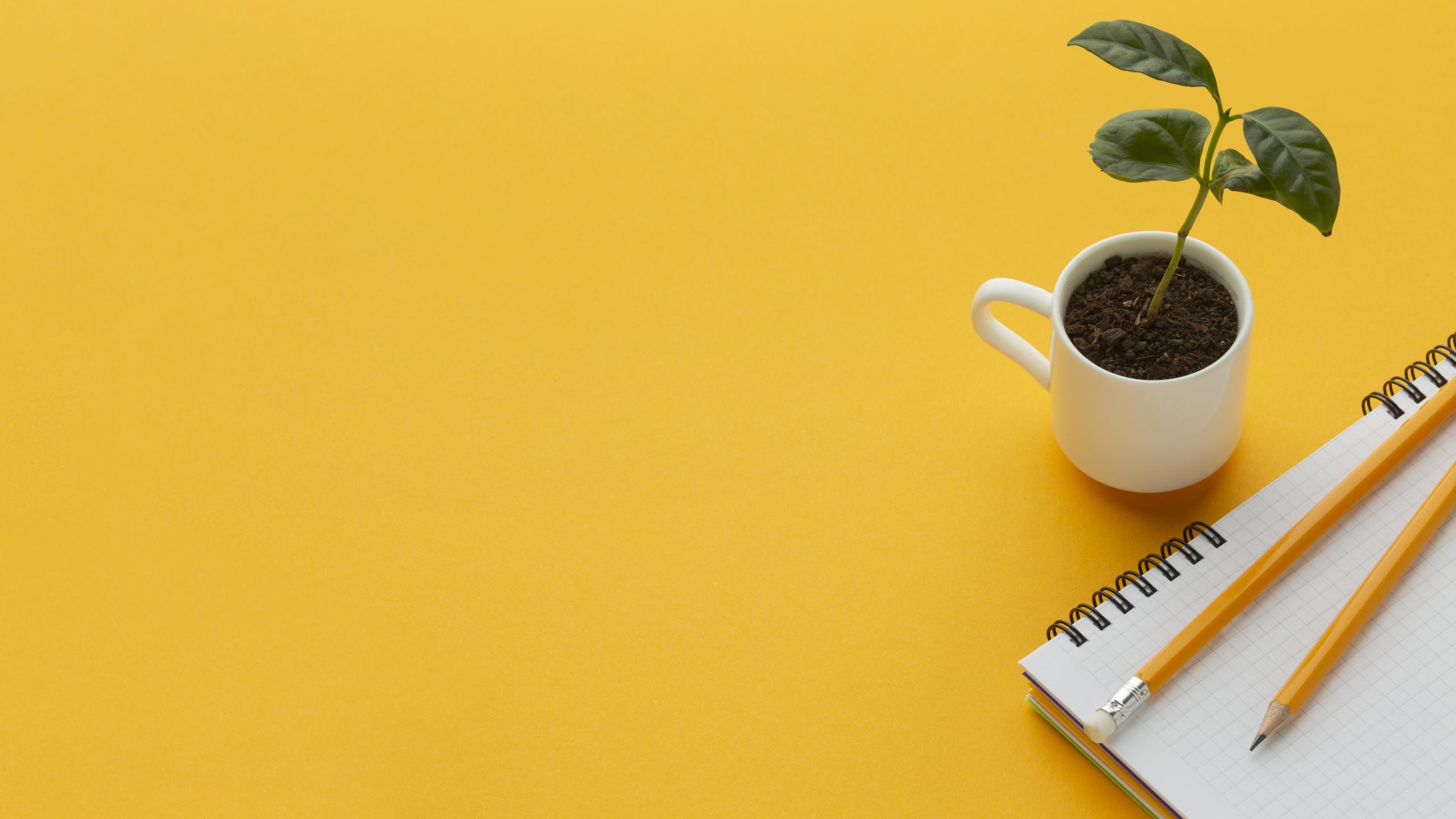 Why 80% of SaaS MVPs Fail Before Launch